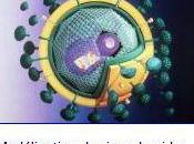 Sida virus d'immunodéficience singe beaucoup plus ancien qu'estimé