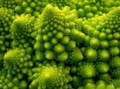 fractales dans nature