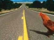 poulet traverse route