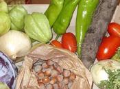 CHAYOTTES..."Chouchous", "Christophines"