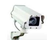 351° Coups langues coups fourrés.