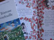 Histoires Grande Forêt