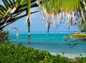 L’été, régimes, méthode Dukan…