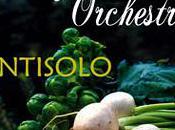 Vienna Vegetable Orchestra 07/10 soupe relevée, goût surprenant