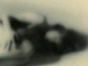 Plateform Magazine ligne