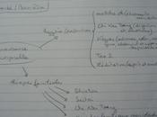 intérêts connaissance corporelle angine "lacrymale"