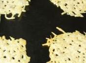 Tuiles parmesan d’Andre