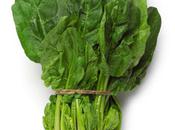 Bienfaits épinards santé