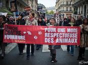 Marche contre fourrure 2010, Paris.