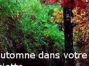 L'automne dans votre assiette récap