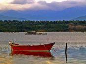 Découverte étangs Diane d'Urbinu samedi Aléria.