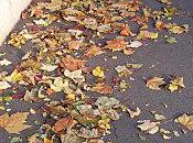 Nettoyer devant chez propriété...