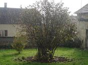 Automne (Corner View)