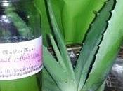 Macérat d'Aloes Vera