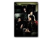 Gush, quatre garçons plein d’avenir