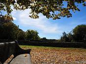 Lumières d'automne place Celas, Mons