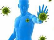 Renforcer système immunitaire avant l’hiver défense naturelle corps