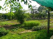 J'ai rencontré fermiers heureux