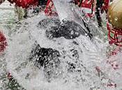 Victoire Rouge Coupe Vanier, main dans dos...