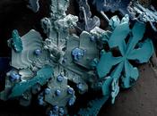 L'IMAGE JOUR: Flocon neige