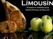 Troisième vague publicité pour Limousin