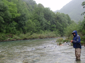 gimme some donne m’en