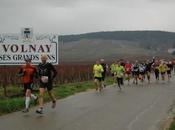 Semi Marathon Beaune 2010 Album photo
