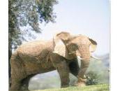 Lisez interview Seen Elephant