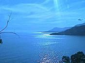 Cool Capture iPhone...