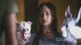 Nikita Episode 1.11 season finale