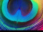 Deux nouveaux fournisseurs d’écrans pour l’iPad