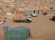 Démantèlement réseau trafic drogue nommé "Polisario"