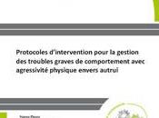 Protocoles d’intervention pour gestion troubles graves comportement avec agressivité physique envers autrui