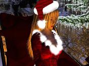 Joyeux Noël bonne année 2011...