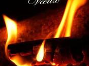 Meilleurs voeux Happy year Feliz novo