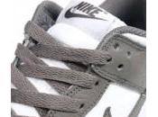 Nike Dunk Icons Grey White