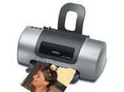 Sucrine farcie fromage Saint Félicien