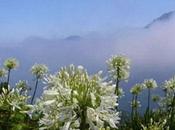 Promenade dans immense jardin...