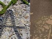 L’art écologique 2010