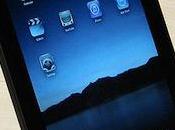 iPad millions d’écrans commandés pour 2011