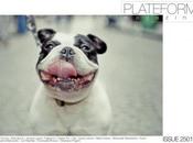 PLATEFORM Magazine