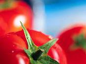 tomates peuvent prévenir crises cardiaques!