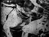 Épouvantable teneur garantie