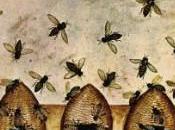 fable abeilles