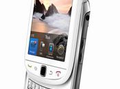 BlackBerry Torch 9800 disponible blanc chez Orange