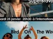 avec SuperBravo Bird Wire Concert International Paris