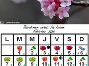 Jardiner avec lune Février 2011