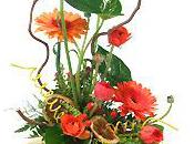 Glomot-fleurs, Interflora Guéret