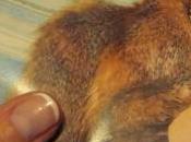 renouveau couleurs douces mains