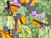 [01/02/11] Photos Puzzler passe 0,79€ Gratuit